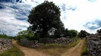 panoramio.com Balkanac