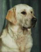Ballero