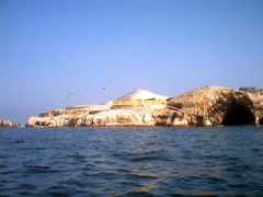 perutoptours.com Ballestas