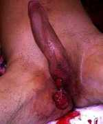 Ballsout