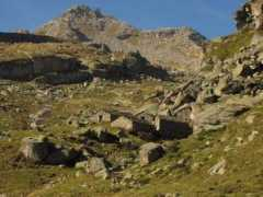Balmot
