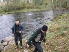 landintyringe.se Baltak