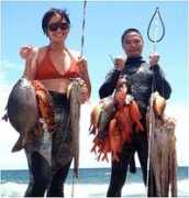 3pronghawaii.com Balubar