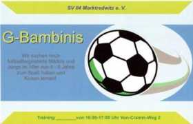 sv04-marktredwitz.de Bambinis