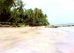 Bambolim