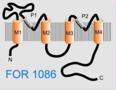 uni-marburg.de Bamerny