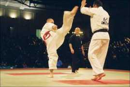 karate.org.pl Banasik