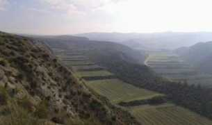 juntadeandalucia.es Bancal