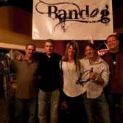 bandmix.com Bandog