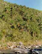 chasque.net Baneste