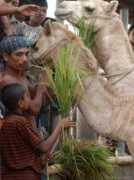 litscapeart.com Bangladeshi