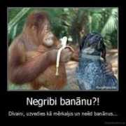 Bannus