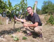 grape-n-grain.de Banovits