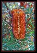 Bansia