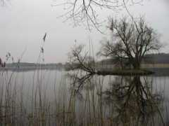 panoramio.com Bansin