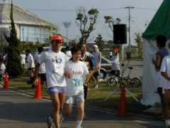 husvsakai.cup.com Banso