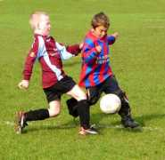 newaddingtonlittleleague.co.uk Bantam