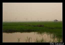 reflexnature.ch Banthi