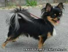 chihua.at.ua Bantik