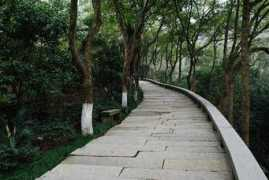 Baoguo