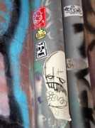 zooloose.ekosystem.org Baour