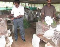 kvkidukki.org Bapooji
