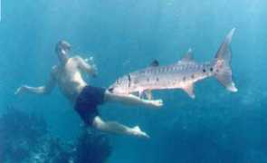 00003zb.dev.radiant.net Baracouda