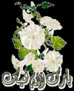 forum.z4ar.com Barakallah