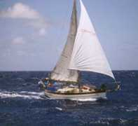 .whidbey.com Barann