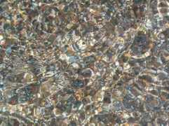 vogliaditerra.com Baratti