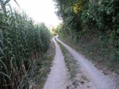 en.balcanica.info Barban