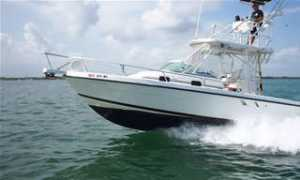dauntlesscharters.com Barbaraanne