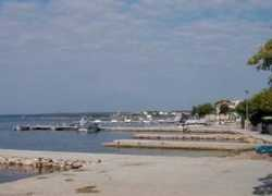 Barbatu