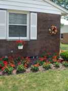 barberknolls.com Barberton