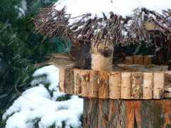 barbia.flog.pl Barbia