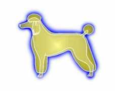 petbrasil.com.br Barbicha