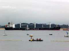 Barcos