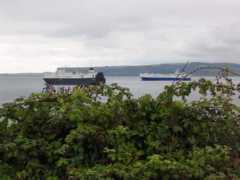 Barcos