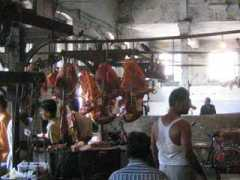 opensens.com Bardolia