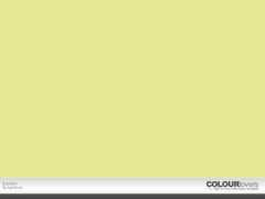 colourlovers.com Bareen