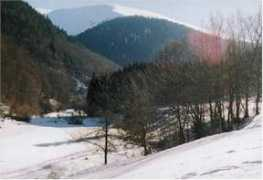 Bareille