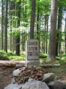 Barenstein