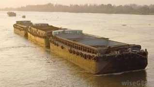 Bargee