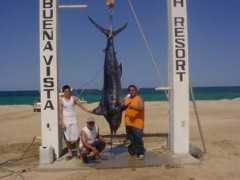 hotelbuenavista.com Baricuatro