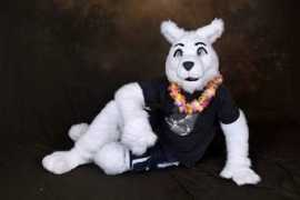 en.wikifur.com Bariki
