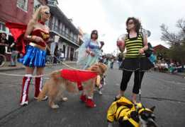 Barkus
