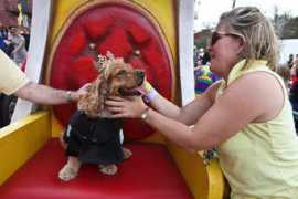 Barkus