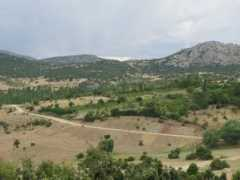 Barla