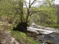 the-malt-house.co.uk Barle