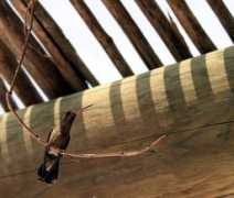 artwanted.com Baroffio